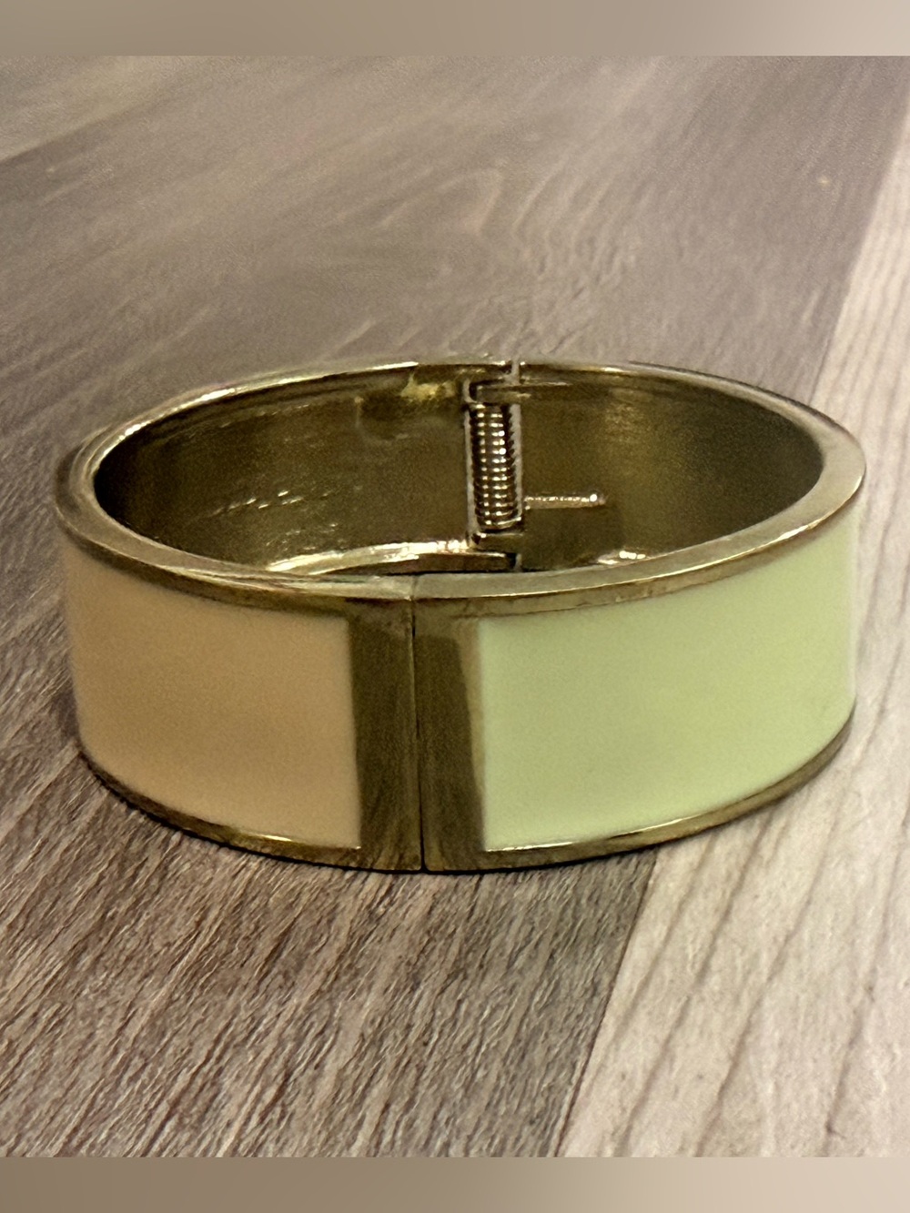 Silver Tone Hinged Bangle with Pale Panels